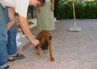 dsc00294
