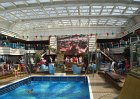 dsc00706