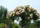 dsc00901