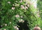 dsc00907