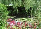 dsc00912