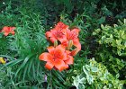 dsc00914