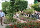 dsc00940