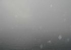 dsc00994