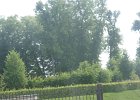 dsc08226
