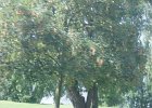 dsc08244
