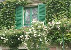 dsc08276