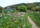 dsc00896
