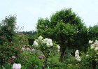 dsc00897