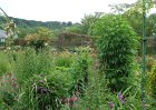 dsc00899