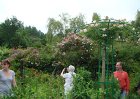 dsc00900