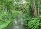 dsc00904