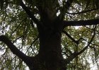 dsc00908