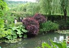 dsc00909