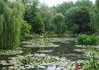 dsc00910
