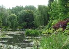 dsc00911