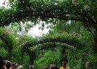 dsc00913
