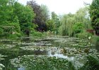 dsc00919