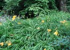 dsc00921