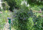 dsc00943