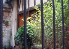 dsc00980
