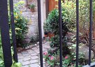 dsc00981