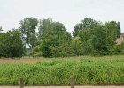 dsc08248