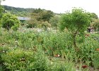 dsc08254