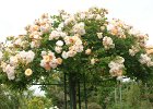 dsc08261