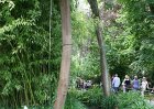 dsc08264