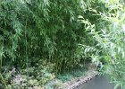 dsc08266