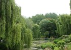 dsc08270