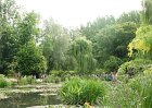 dsc08272
