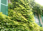 dsc08281