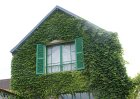 dsc08287