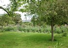 dsc08291