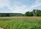 dsc08296