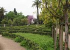 dsc04820