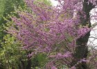 dsc04826