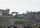 dsc04731