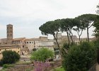 dsc04816