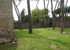 dsc04886