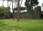 dsc04887