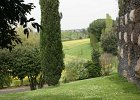 dsc04890