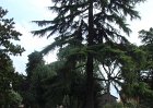 dsc09072