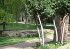 dsc09080