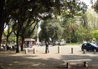 dsc09541