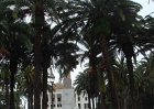dsc09618