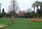 dsc09625