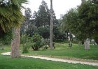 dsc09631